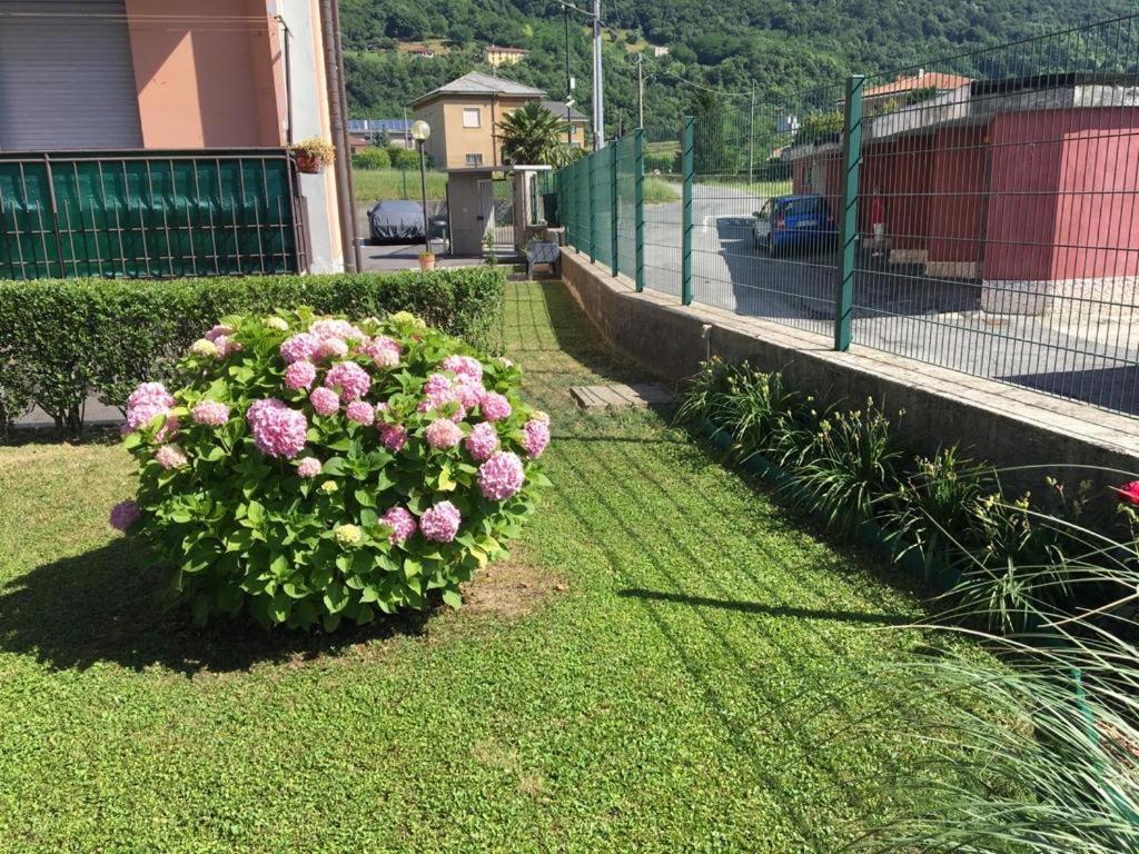 Big Family Bed & Breakfast Suello Экстерьер фото